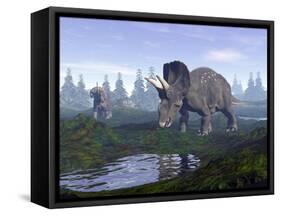 Two Nedoceratops Dinosaurs Walking to Water Puddle in the Morning Light-null-Framed Stretched Canvas