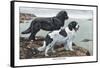 Two Newfoundlands-Louis Agassiz Fuertes-Framed Stretched Canvas