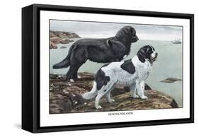 Two Newfoundlands-Louis Agassiz Fuertes-Framed Stretched Canvas