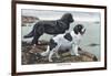 Two Newfoundlands-Louis Agassiz Fuertes-Framed Art Print