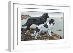 Two Newfoundlands-Louis Agassiz Fuertes-Framed Art Print