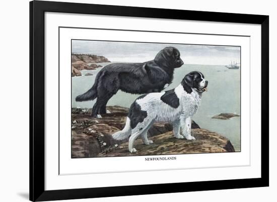 Two Newfoundlands-Louis Agassiz Fuertes-Framed Premium Giclee Print