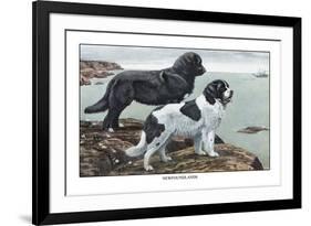 Two Newfoundlands-Louis Agassiz Fuertes-Framed Premium Giclee Print