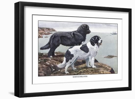 Two Newfoundlands-Louis Agassiz Fuertes-Framed Art Print