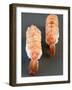 Two Nigiri-Sushi with Shrimp-Valerie Martin-Framed Photographic Print