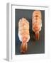 Two Nigiri-Sushi with Shrimp-Valerie Martin-Framed Photographic Print