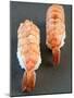 Two Nigiri-Sushi with Shrimp-Valerie Martin-Mounted Photographic Print