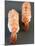 Two Nigiri-Sushi with Shrimp-Valerie Martin-Mounted Photographic Print