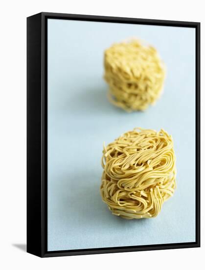 Two Noodle Nests-Dave King-Framed Stretched Canvas