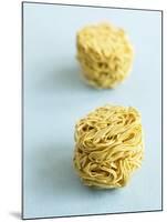 Two Noodle Nests-Dave King-Mounted Photographic Print