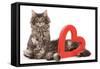 Two Norwegian Forest Kittens-null-Framed Stretched Canvas