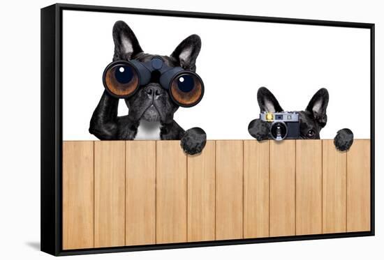 Two Nosy Dogs-Javier Brosch-Framed Stretched Canvas