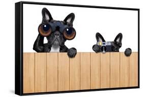 Two Nosy Dogs-Javier Brosch-Framed Stretched Canvas