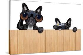 Two Nosy Dogs-Javier Brosch-Stretched Canvas