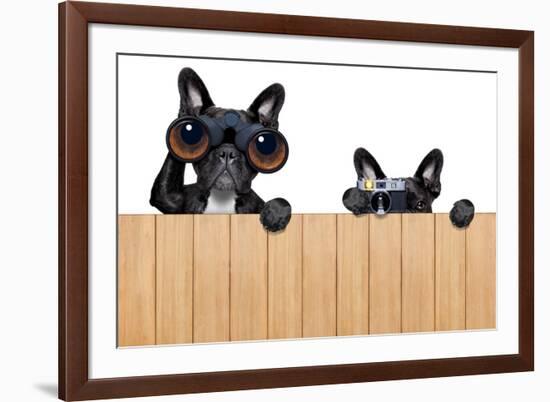 Two Nosy Dogs-Javier Brosch-Framed Photographic Print