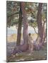 Two Nudes under Pine-Trees-Theo Rysselberghe-Mounted Giclee Print