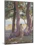 Two Nudes under Pine-Trees-Theo Rysselberghe-Mounted Giclee Print