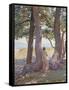 Two Nudes under Pine-Trees-Theo Rysselberghe-Framed Stretched Canvas