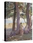 Two Nudes under Pine-Trees-Theo Rysselberghe-Stretched Canvas