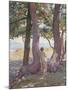 Two Nudes under Pine-Trees-Theo Rysselberghe-Mounted Giclee Print