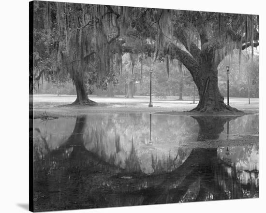 Two Oaks and Reflection, Audubon Park, NOLA-William Guion-Stretched Canvas