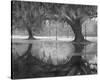 Two Oaks and Reflection, Audubon Park, NOLA-William Guion-Stretched Canvas