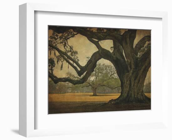 Two Oaks in Rain, Audubon Gardens-William Guion-Framed Giclee Print