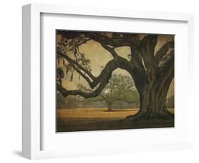 Two Oaks in Rain, Audubon Gardens-William Guion-Framed Giclee Print