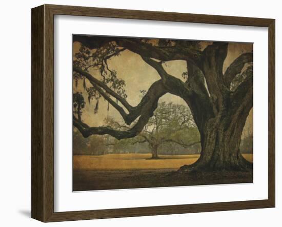 Two Oaks in Rain, Audubon Gardens-William Guion-Framed Giclee Print