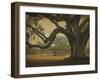 Two Oaks in Rain, Audubon Gardens-William Guion-Framed Giclee Print