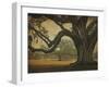 Two Oaks in Rain, Audubon Gardens-William Guion-Framed Giclee Print