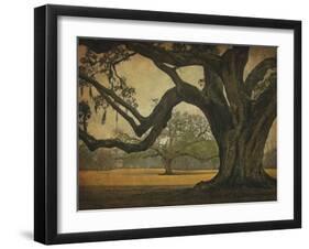 Two Oaks in Rain, Audubon Gardens-William Guion-Framed Giclee Print