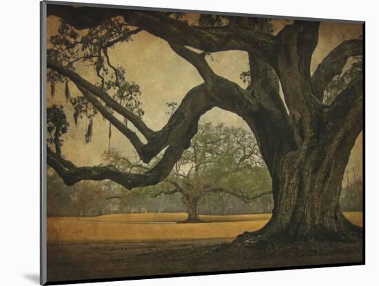 Two Oaks in Rain, Audubon Gardens-William Guion-Mounted Giclee Print