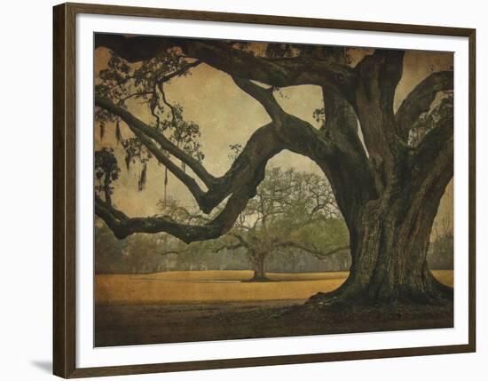 Two Oaks in Rain, Audubon Gardens-William Guion-Framed Giclee Print