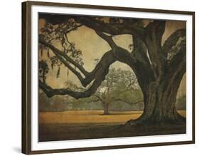 Two Oaks in Rain, Audubon Gardens-William Guion-Framed Giclee Print