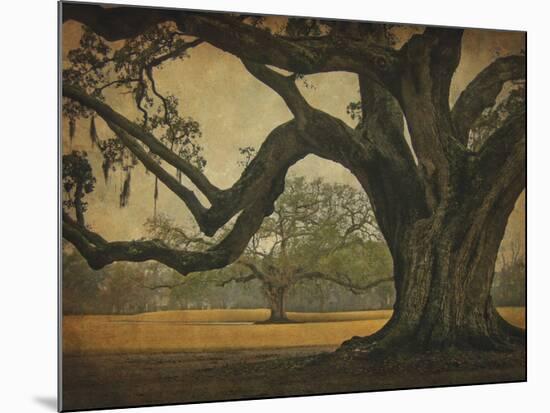 Two Oaks in Rain, Audubon Gardens-William Guion-Mounted Giclee Print