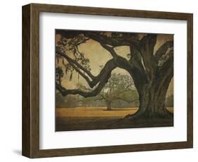 Two Oaks in Rain, Audubon Gardens-William Guion-Framed Art Print