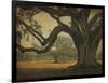 Two Oaks in Rain, Audubon Gardens-William Guion-Framed Giclee Print