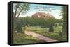 Two Ocean Moutain, the Tetons-null-Framed Stretched Canvas