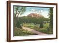 Brown Frame