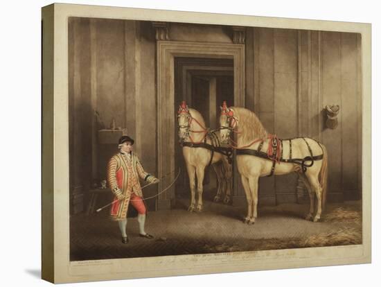 Two of His Majesty's State Horses, Engraved by William Ward, 1 September 1800 (Mezzotint)-Henry Bernard Chalon-Stretched Canvas