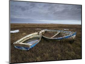 Two Old Boats on the Saltmarshes at Burnham Deepdale, Norfolk, England-Jon Gibbs-Mounted Premium Photographic Print
