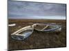 Two Old Boats on the Saltmarshes at Burnham Deepdale, Norfolk, England-Jon Gibbs-Mounted Photographic Print