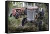 Two Old Rusty Tractor in the Forest-Ollikainen-Framed Stretched Canvas