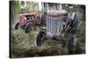 Two Old Rusty Tractor in the Forest-Ollikainen-Stretched Canvas