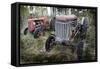 Two Old Rusty Tractor in the Forest-Ollikainen-Framed Stretched Canvas