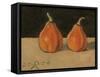 Two Orange Pumpkins, 2006-Raimonda Kasparaviciene Jatkeviciute-Framed Stretched Canvas