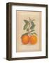 Two Oranges-Laurence David-Framed Art Print