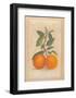 Two Oranges-Laurence David-Framed Art Print