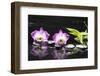 Two Orchid and Stones with Bamboo Green Leaf-crystalfoto-Framed Photographic Print